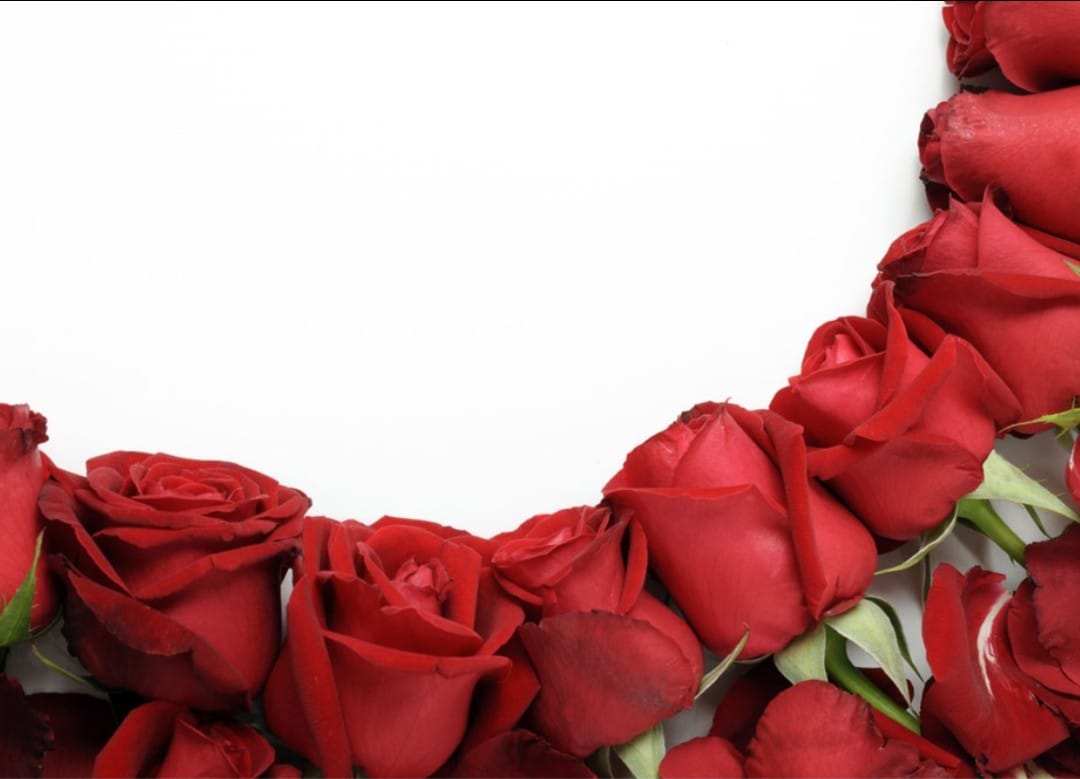 eHealth photo - roses